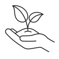 Wachstum Icon